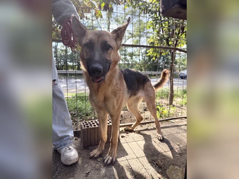 Missy- Genau dich suche ich !