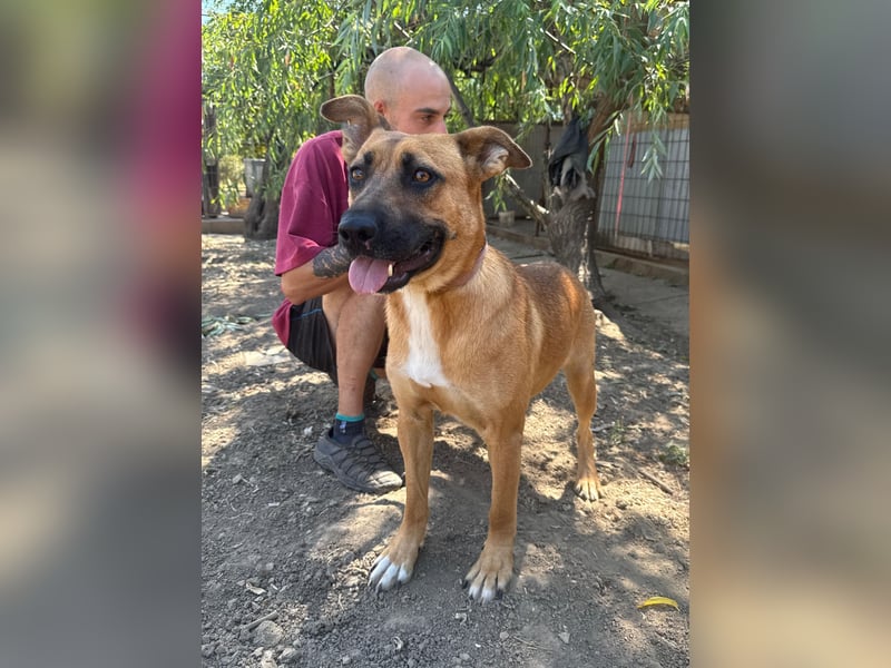 Eda sucht Abenteuer-Buddy