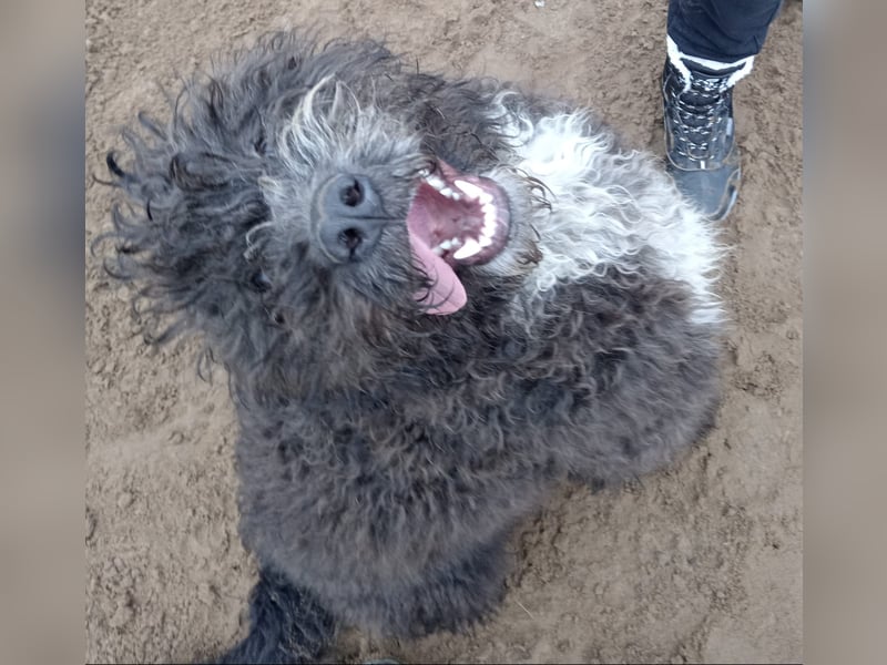 Cézi möchte so gerne dazugehören
