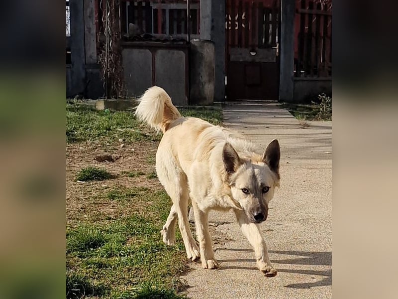 Ich bin bereit für Spiel, Spaß und mein eigenes Zuhause.“