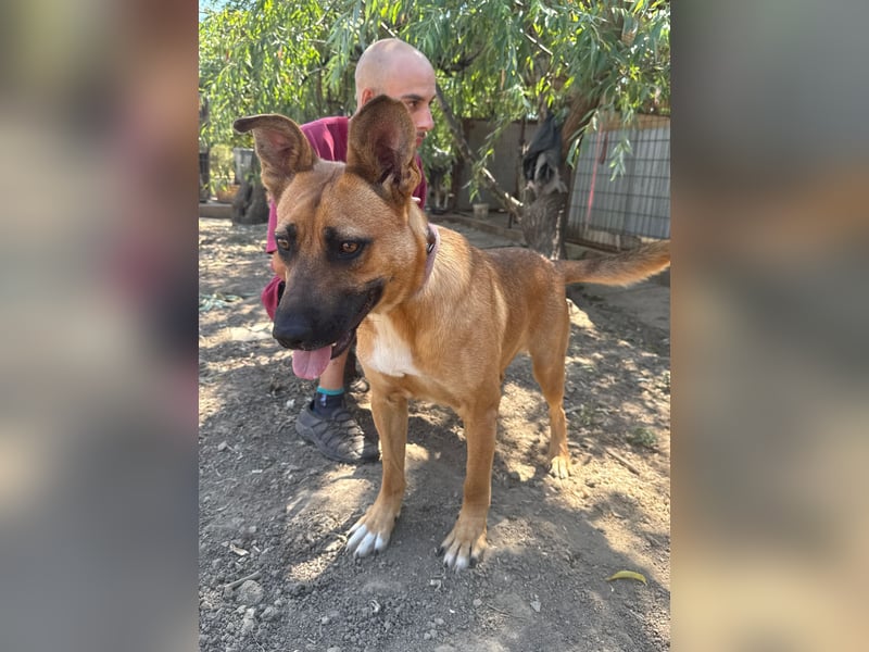 Eda sucht Abenteuer-Buddy