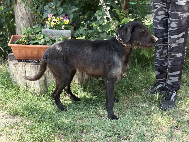Matea reist gerne