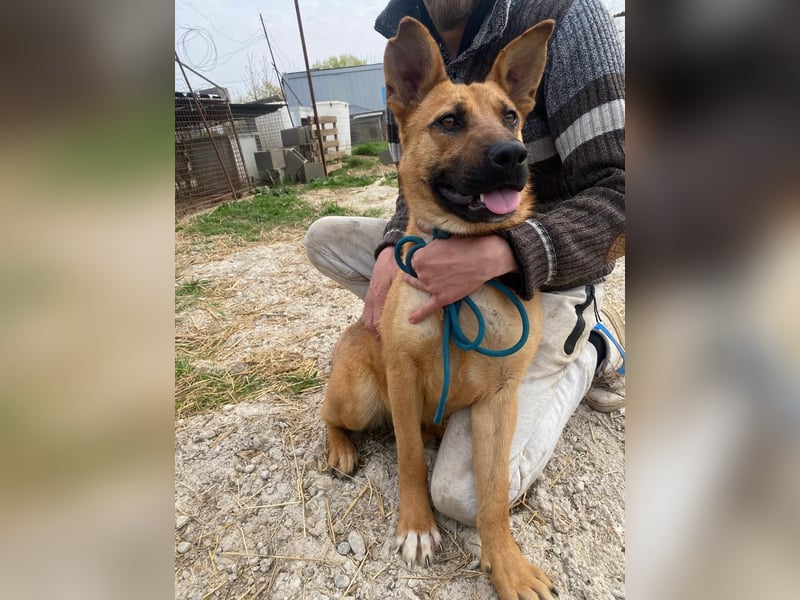 Eda sucht Abenteuer-Buddy