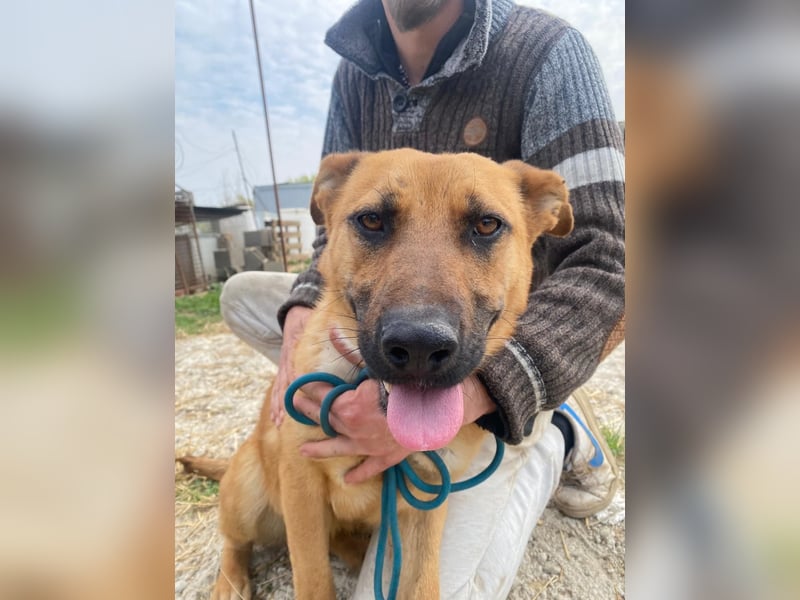 Eda sucht Abenteuer-Buddy