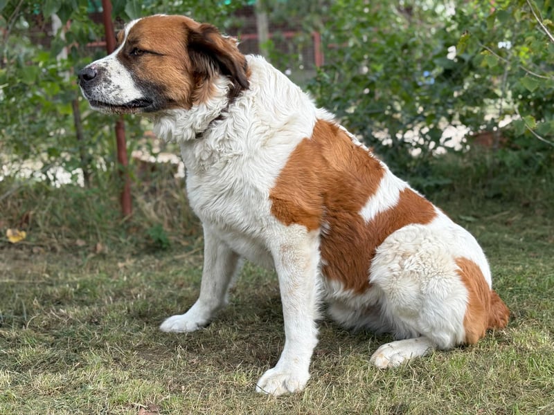 Ruslan sucht Menschen, bei denen er ankommen darf