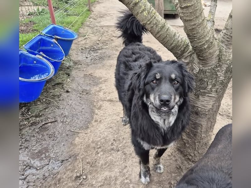 Hier komme ich! Cara!