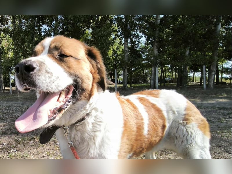 Ruslan sucht Menschen, bei denen er ankommen darf