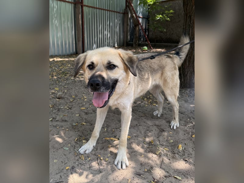 Warum werde ich immer übersehen