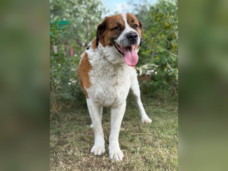 Ruslan sucht Menschen, bei denen er ankommen darf