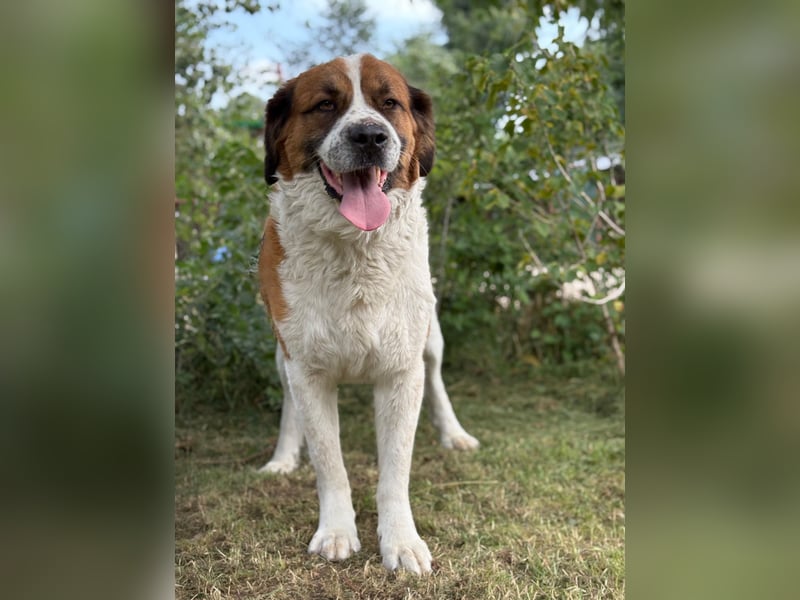 Ruslan sucht Menschen, bei denen er ankommen darf