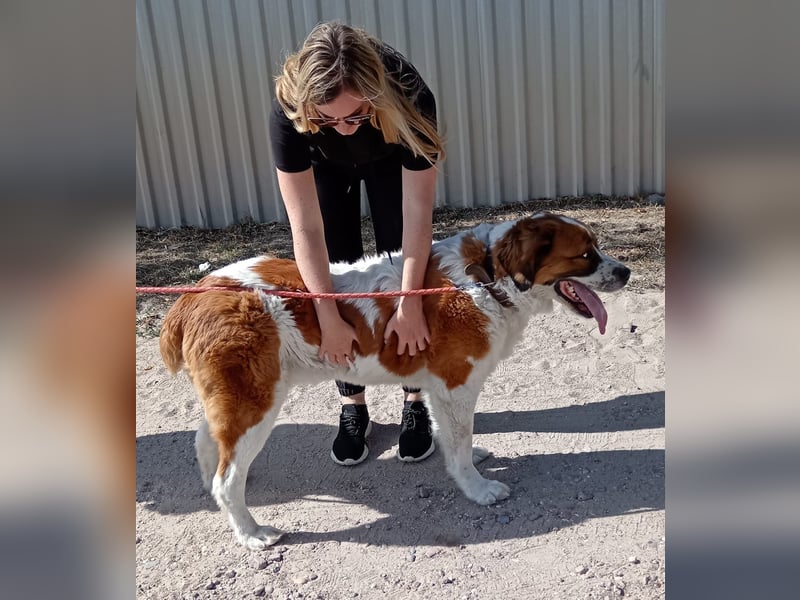 Ruslan sucht Menschen, bei denen er ankommen darf