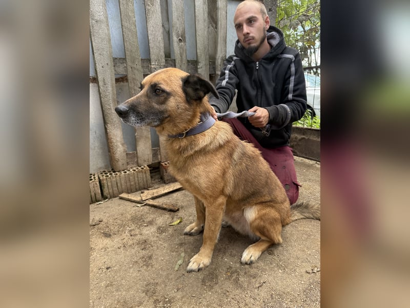 Amigo, wird er dein Freund?