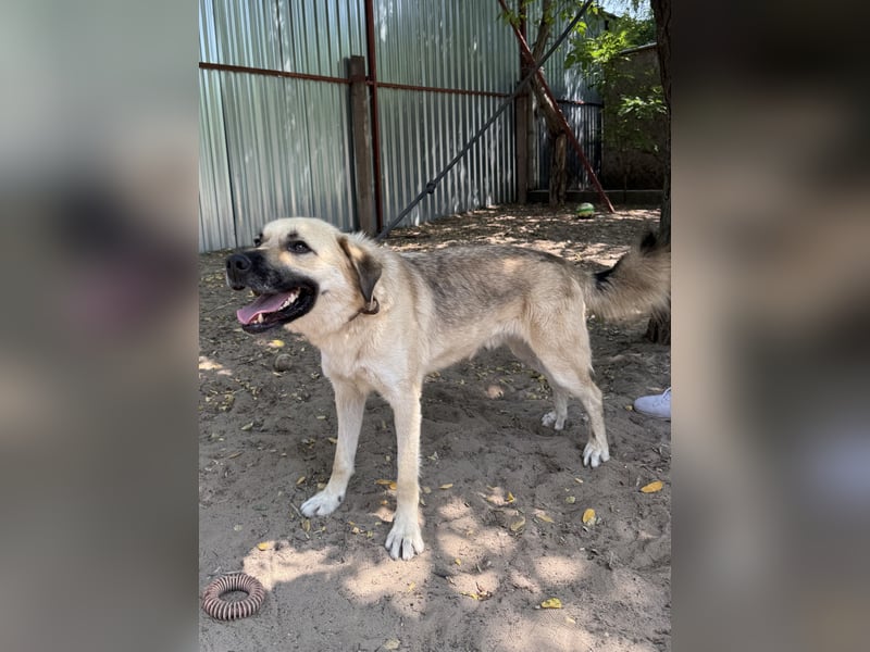 Warum werde ich immer übersehen