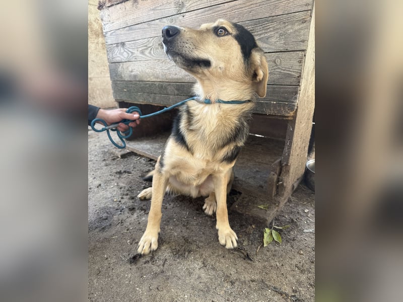 Ahmed möchte endlich glücklich sein