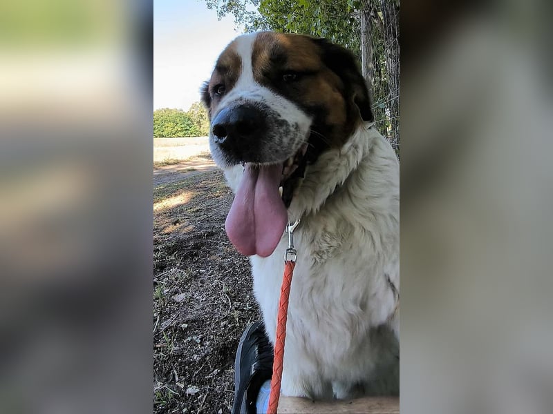 Ruslan sucht Menschen, bei denen er ankommen darf