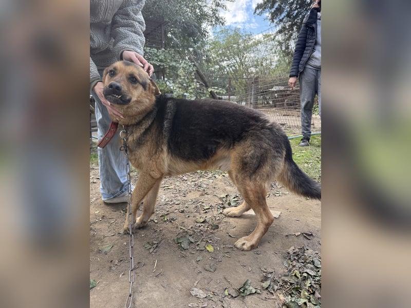 Berci - Ich habe nur einen Wunsch ! Eine Familie