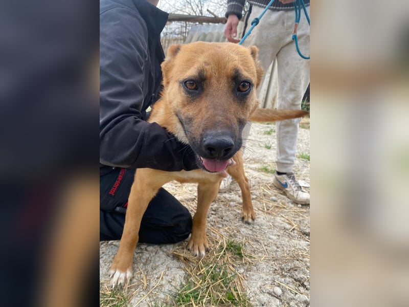 Eda sucht Abenteuer-Buddy