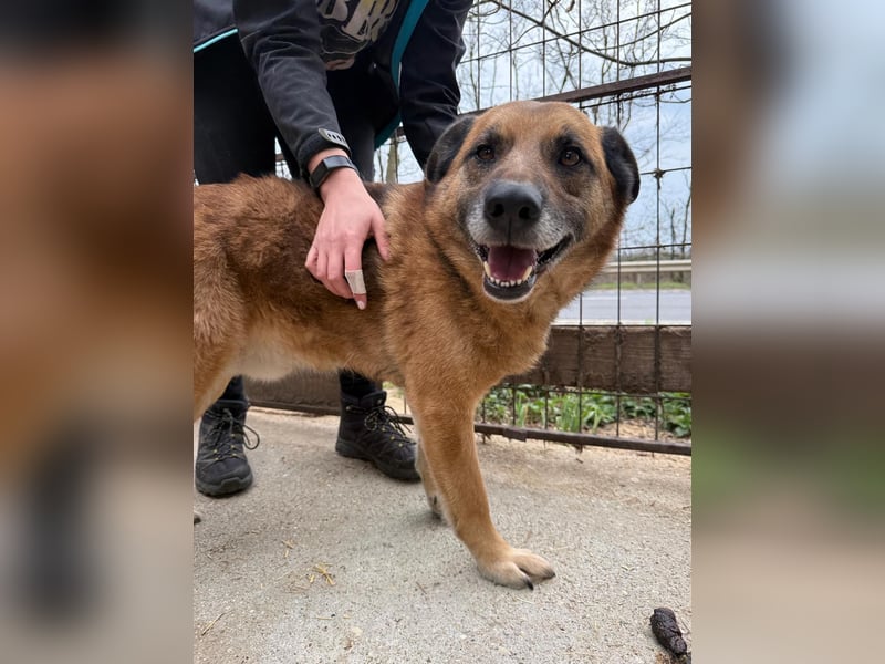 Amigó ist bereit für sein neues Leben