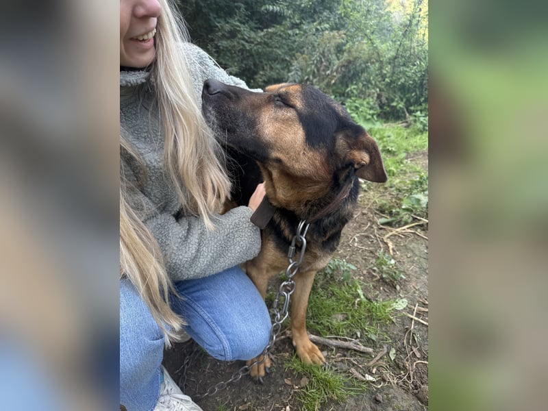 Nur ein Schritt zum Glück für Rexi