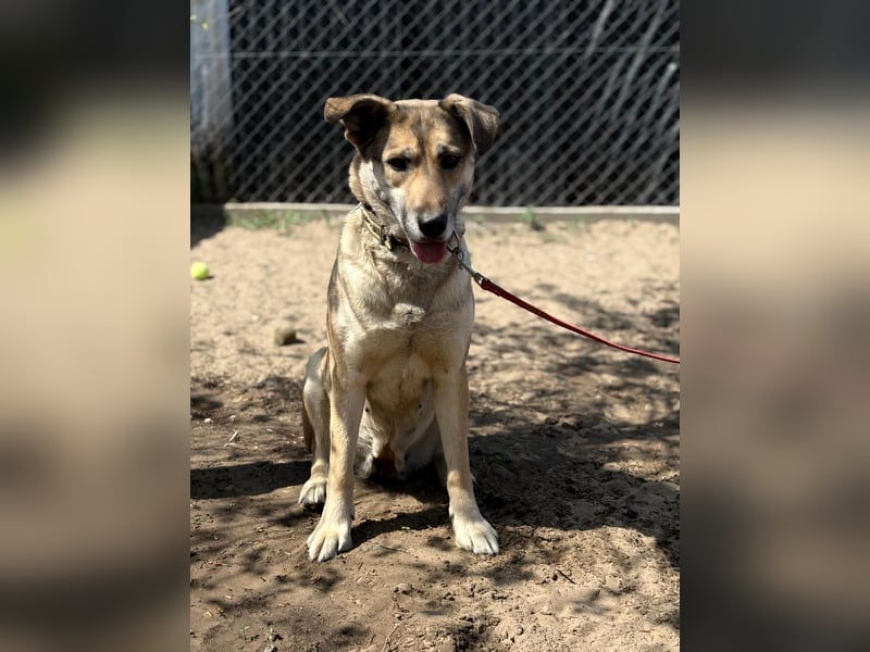 Nayeli sucht ein Zuhause mit Erfahrung