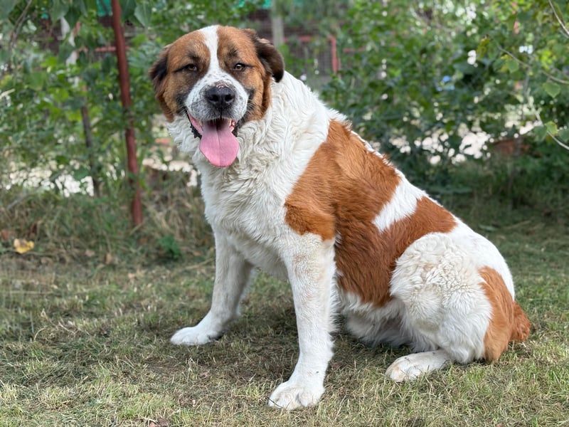 Ruslan sucht Menschen, bei denen er ankommen darf