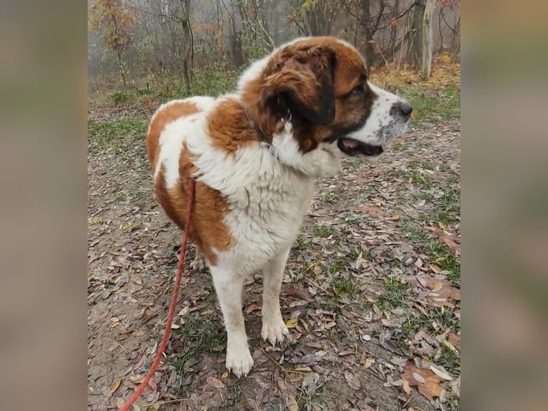 Ruslan sucht Menschen, bei denen er ankommen darf