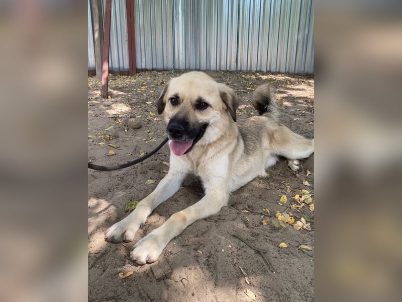 Warum werde ich immer übersehen