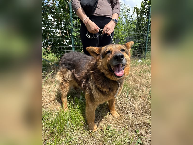 Charlie – unser Sonnenschein