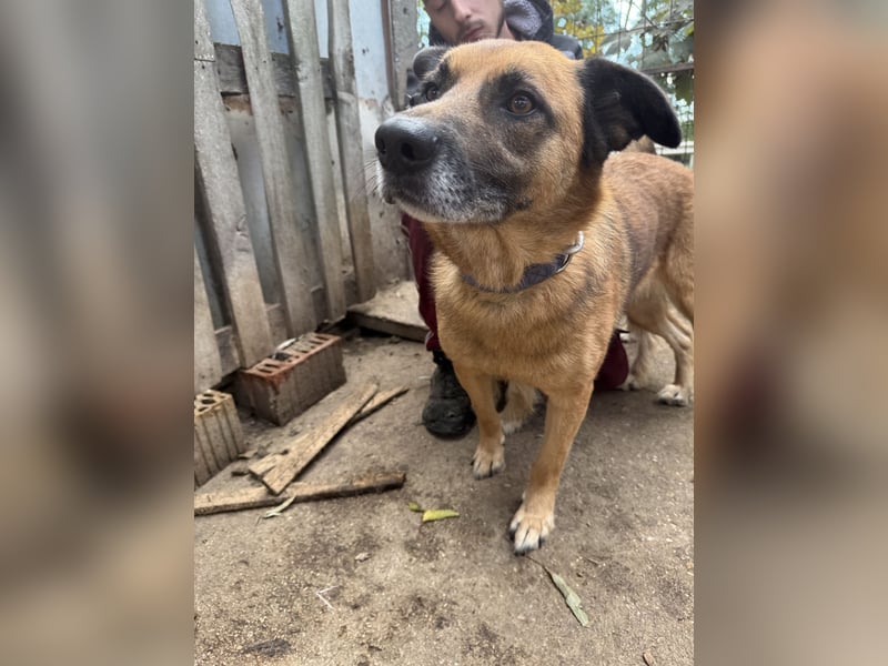 Amigo, wird er dein Freund?