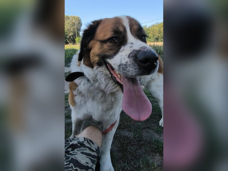 Ruslan sucht Menschen, bei denen er ankommen darf