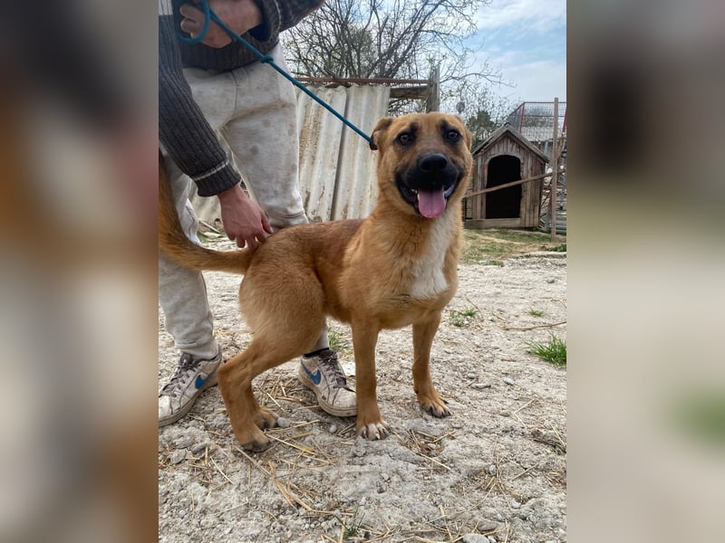 Eda sucht Abenteuer-Buddy