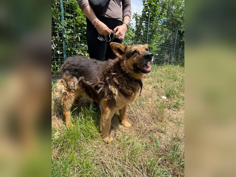 Charlie – unser Sonnenschein