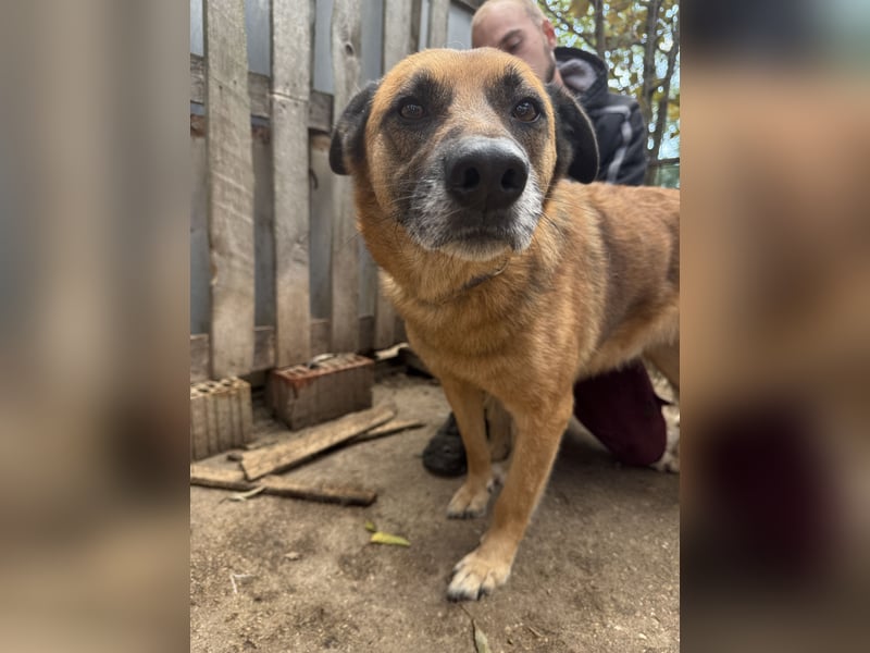 Amigó ist bereit für sein neues Leben