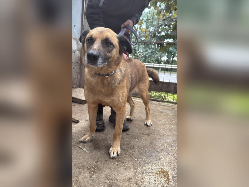 Amigo, wird er dein Freund?