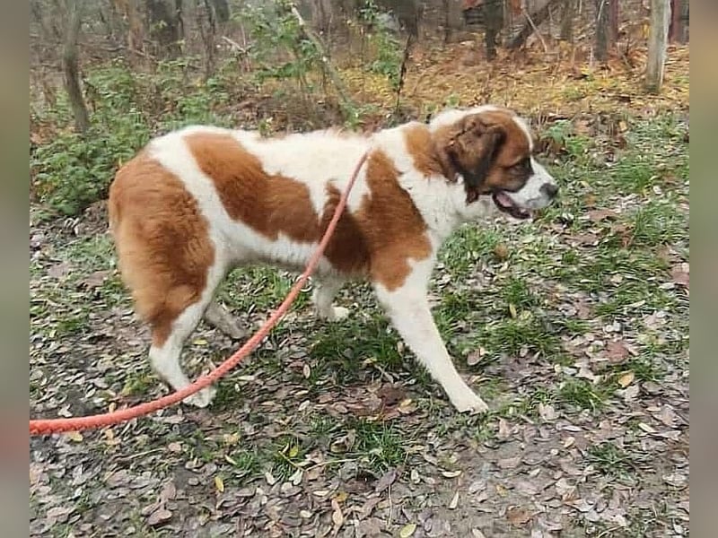 Ruslan sucht Menschen, bei denen er ankommen darf