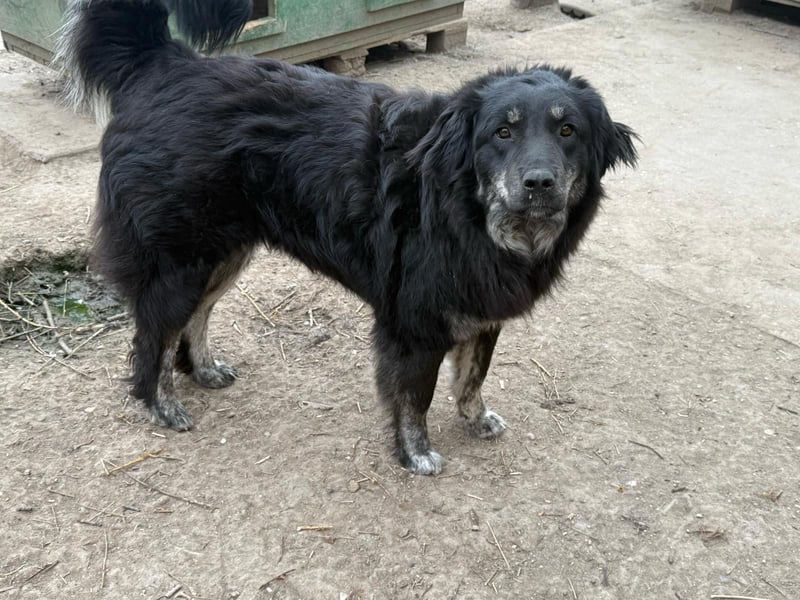 Hier komme ich! Cara!