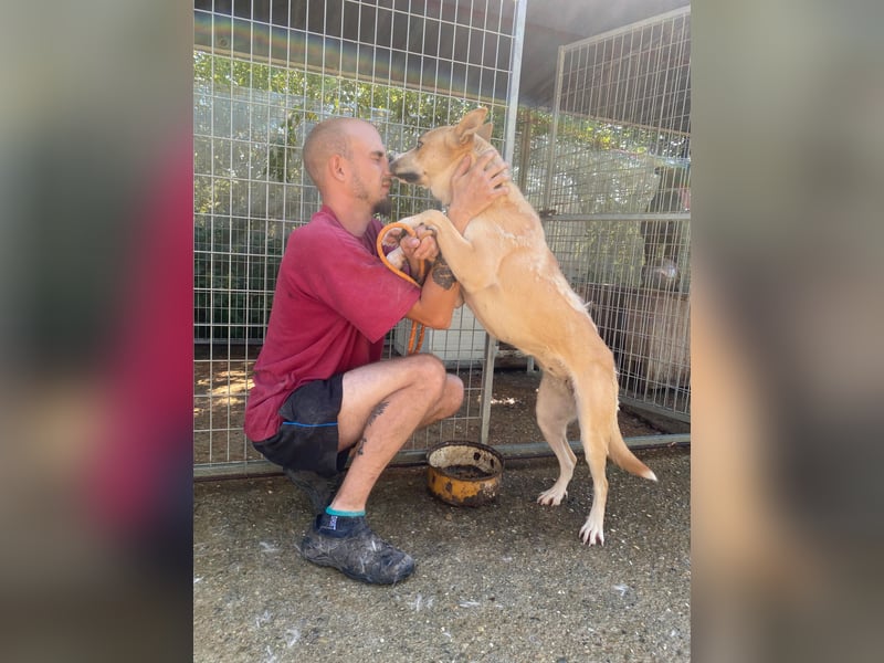 Csillag möchte einen Ruheplatz