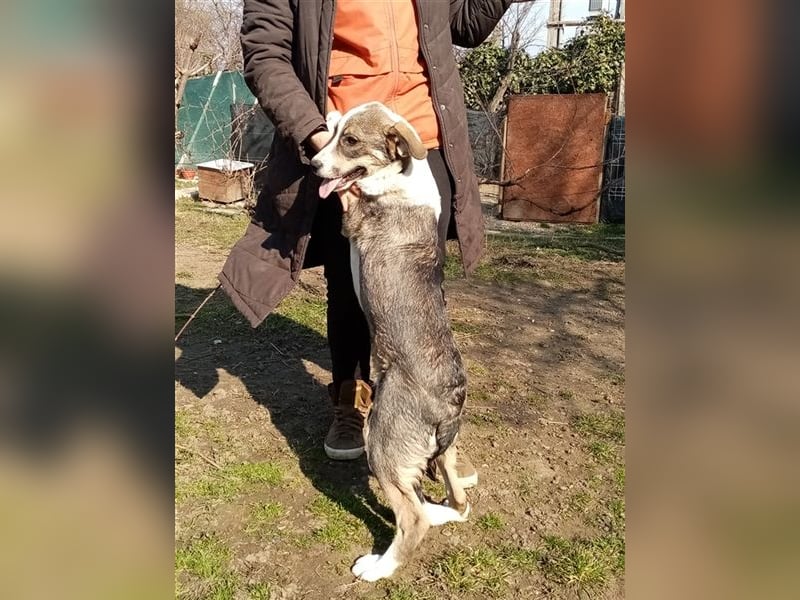 Jimmy möchte Rumänien ganz schnell verlassen