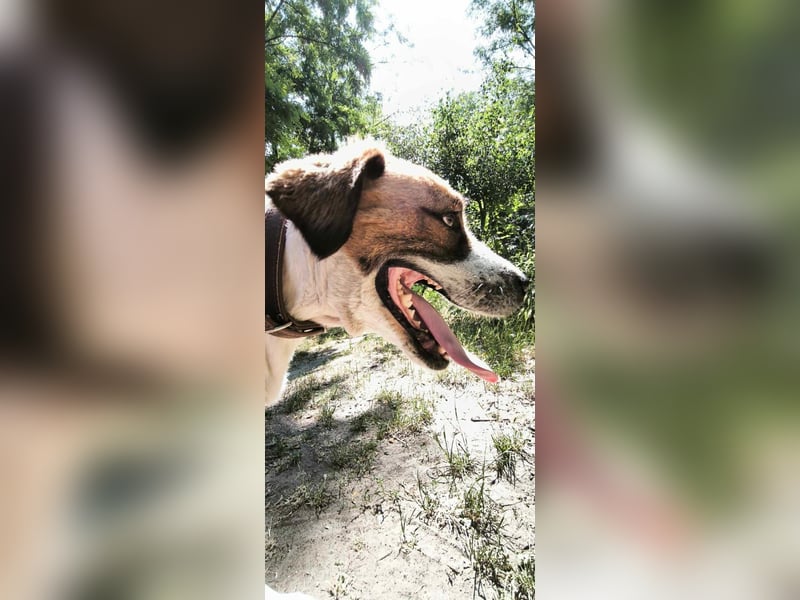 Ruslan sucht Menschen, bei denen er ankommen darf