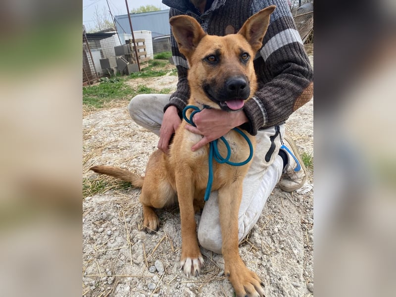 Eda sucht Abenteuer-Buddy