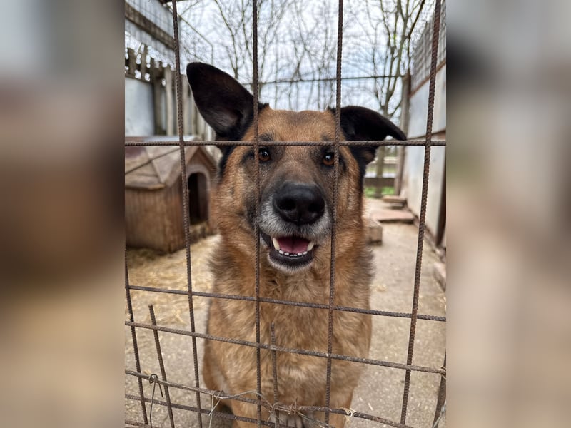 Amigó ist bereit für sein neues Leben