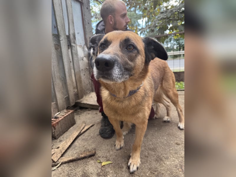 Amigó ist bereit für sein neues Leben