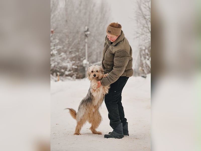 Kleiner Clown Benny sucht seine Menschen
