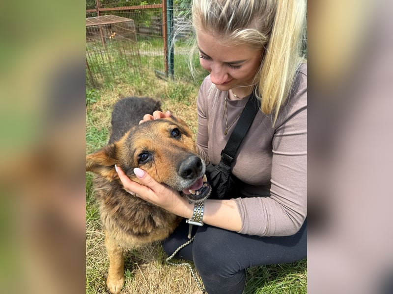 Charlie – unser Sonnenschein