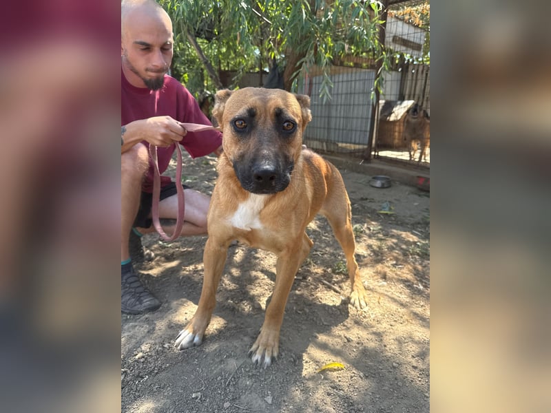 Eda sucht Abenteuer-Buddy