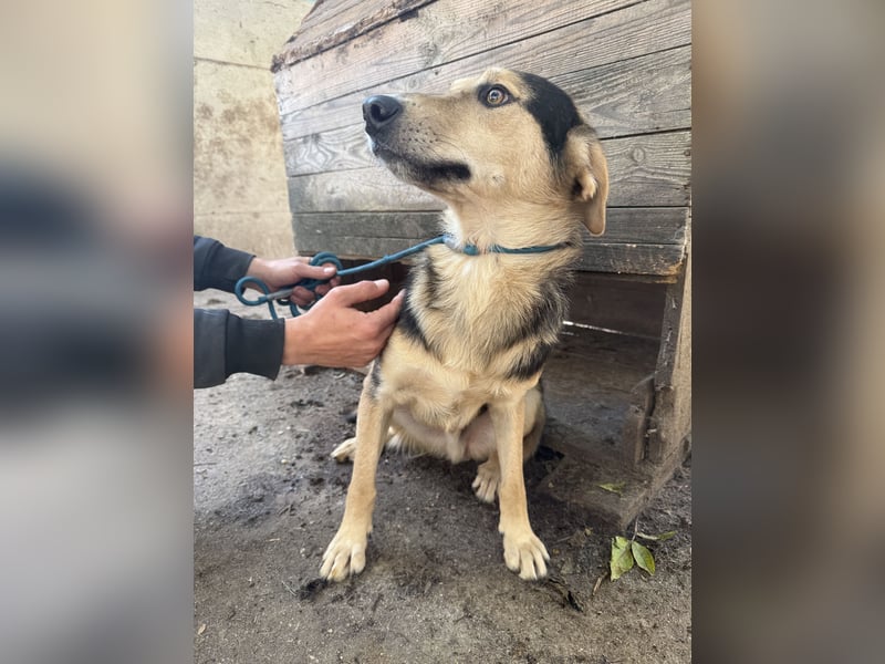 Ahmed möchte endlich glücklich sein