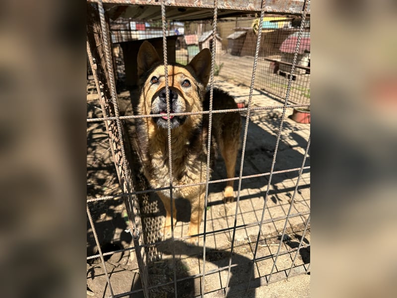 Cingár sucht Einzelplatz