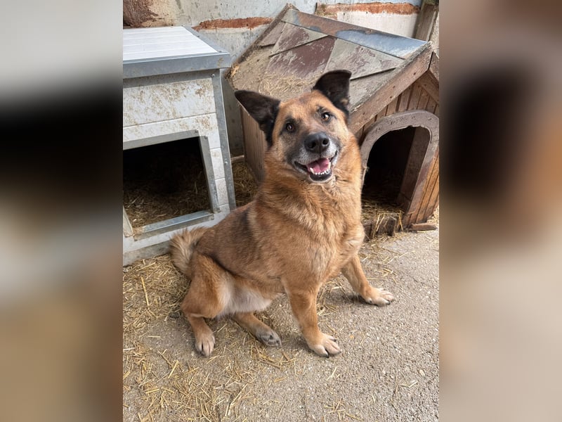 Amigó ist bereit für sein neues Leben