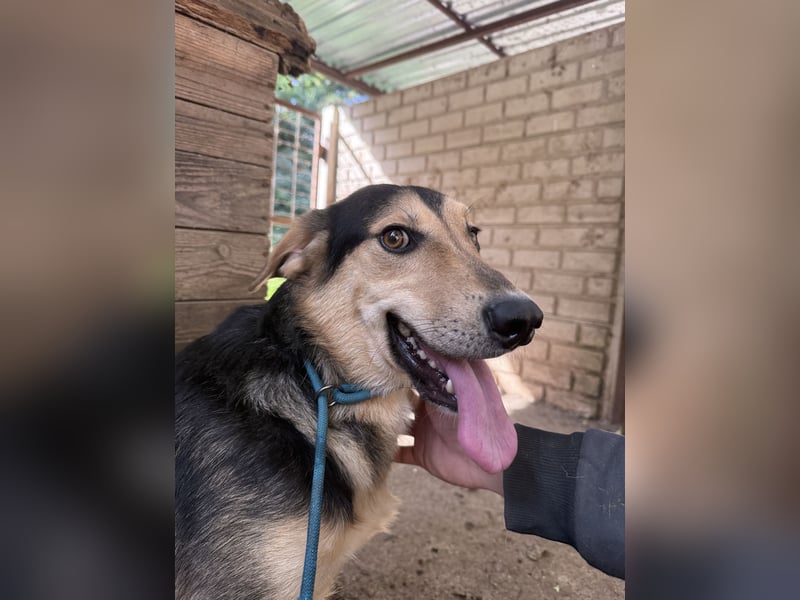 Ahmed möchte endlich glücklich sein