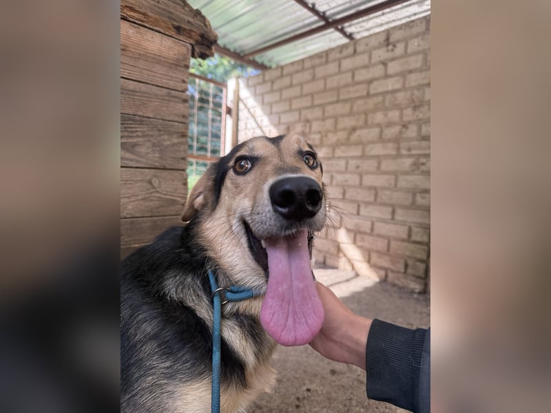 Ahmed braucht eine Chance